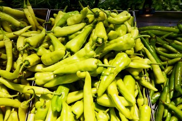 pile of green sweet chilli pepper