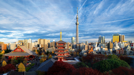 Wall Mural - Top view of cityscape of Sensoji temple