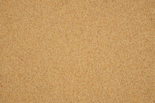 Clean Ocean Yellow Sand Texture.