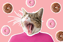 Cat And Donut Collage, Pop Art Concept Design. Minimal Vibrant Summer Background.