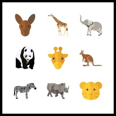  9 zoo icon. Vector illustration zoo set. giraffe and elephant icons for zoo works