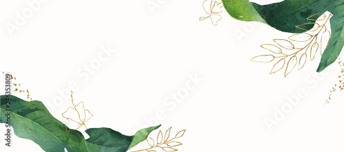 Foto-Schiebegardine mit Schienensystem - Watercolor vector banner tropical leaves isolated on white background. (von ElenaMedvedeva)