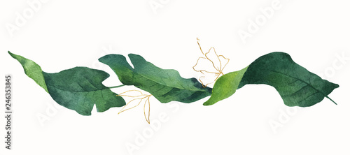 Foto-Schiebegardine Komplettsystem - Watercolor vector banner tropical leaves isolated on white background. (von elenamedvedeva)