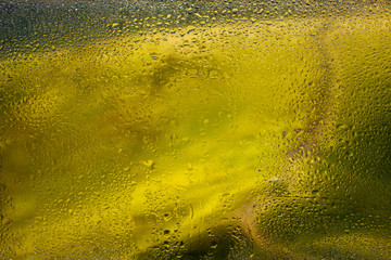 Poster - Water droplets on a window pane with beautiful defocused scenery outside.