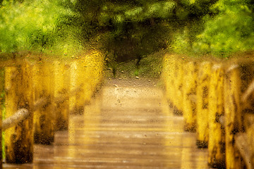 Wall Mural - Water droplets on a window pane with beautiful defocused scenery outside.