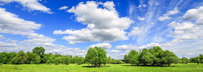 Wall Mural - green field with trees and blue sky with clouds Sunny day, beautiful rural landscape, panoramic banner