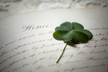 Pressed Four Leaf Clover And Antique Calligraphy Handwriting About Home