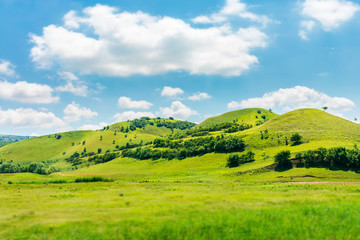 green hill in summer landscape. beautiful countryside scenery. fluffy clouds on a bright blue sky. t