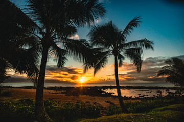 Poster - Hawaii Sunset