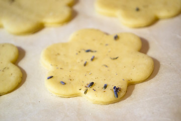 Cooking sweet cookies. Homemade cookies.