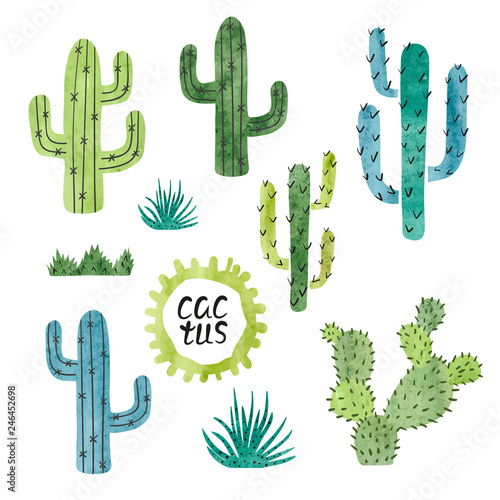 Set of watercolor cactus isolated on white background. Vector illustration.