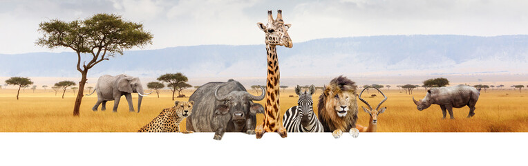 Wall Mural - africa safari animals over web banner