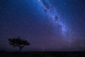 The Milky Way and a tree over namibia