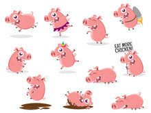 Funny Collection Of A Cartoon Pig