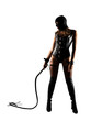 Sensual provocation of a sexy bdsm woman with whip