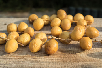 Wall Mural - Fresh yellow dates on a sprigs on rustic wooden background. Side view