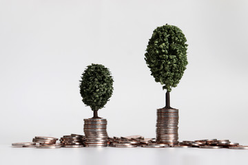 Two miniature trees on a pile of coins.