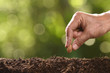 Human's hand planting seeds in soil