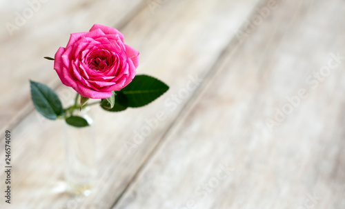 Pink Rose Flower Valentine S Day Card Web Banner Background Buy