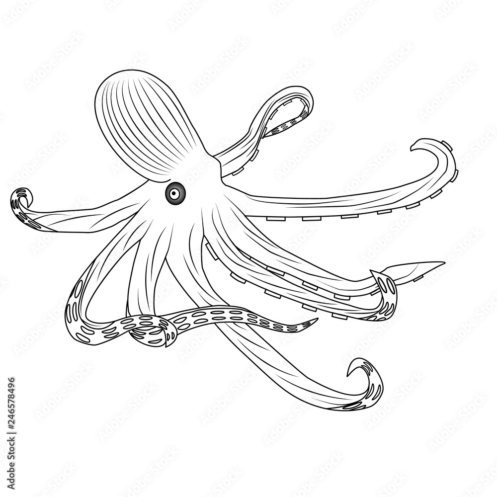 Octopus with tentacles. Hand drawn vector illustration in engraving ...