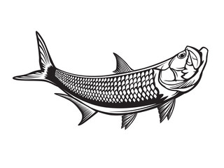 Tarpon fishing emblem. Black and white illustration of tarpon. Vector can be used for web design, cards, logos and other design