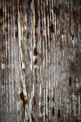 Wall Mural - weathered wooden surface