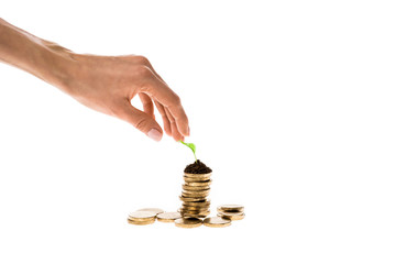 cropped view of woman touching green leaf on top of golden coins isolated on white