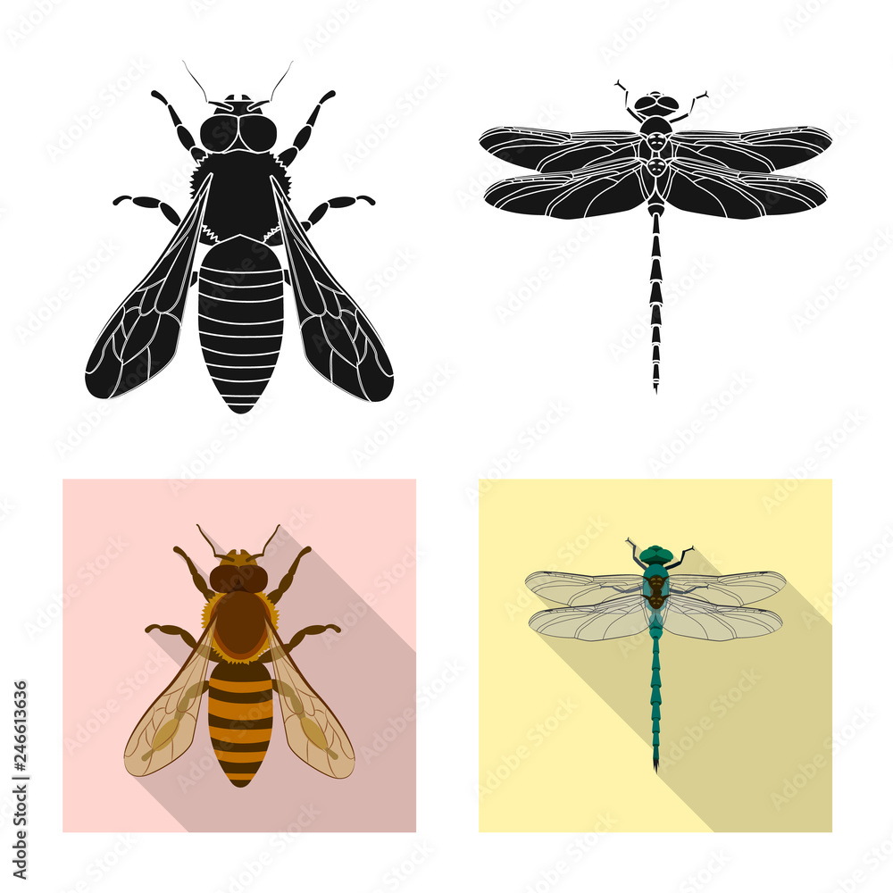 Vector illustration of insect and fly icon. Collection of insect and ...
