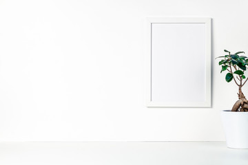Shelf on a white empty wall. Copy space. Place for text. Scandinavian style. White empty frame mockup. Bonsai in a white flowerpot