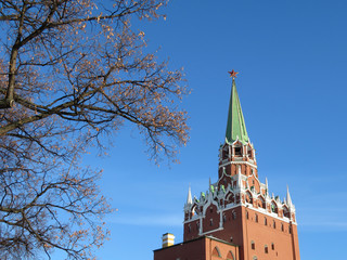 Wall Mural - Moscow Kremlin and bare tree branches in sunny day, scenic view. Troitskaya tower with red star in the Alexander garden on blue sky background, landmarks of Russia