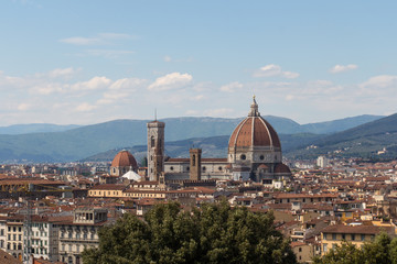 Wall Mural - Florence Cathedral in a sunny day, Florence, Tuscany, Italy.