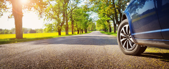 Wall Mural - Car on asphalt road in summer