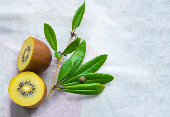 Ripe kiwi in a wooden dish on a cloth background. Healthy eating