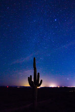 Saguaro Galaxy