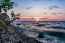 Tree On The Rocky Shore At Sunrise