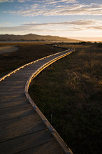 Wooden Boardwalk Winds Through A Marsh