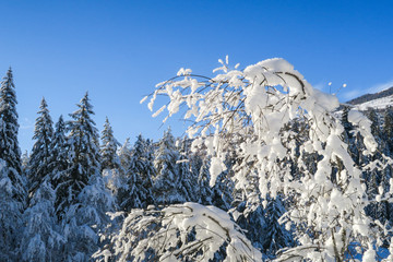 Winter wonderland in Switzerland