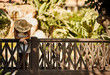 © Christopher - Girl at railing with sunhat, privacy please