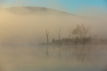 Wall Mural - Morning fog at Bundamba Dalys Lagoon, Queensland