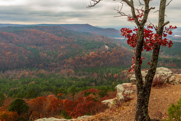 Wall Mural - Petit Jean State park