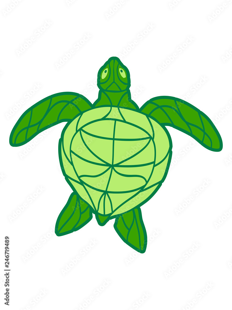 Wall Murals Comic Cartoon Wasserschildkrote Schildkrote Wasser Turtle Schwimmen Meer Flossen Clipart Design Schon Panzer Tattoo Logo Nikkel Art