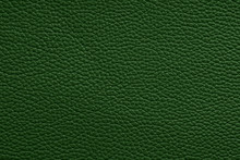 Clear Empty Natural Green Leather Texture