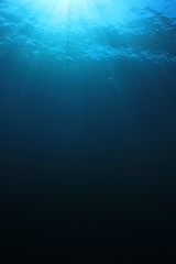 Underwater blue background in sea 