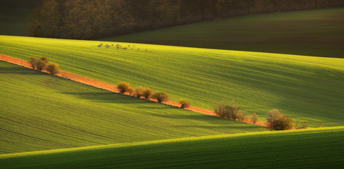 autumn rural landscape with deer and beautiful wavy fields. rural landscape with deer, trees, hills,