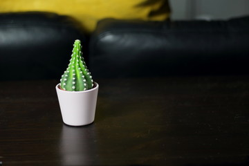 Small cute cacti succulents in light pink pots for interior  plant decoration in the room with a yellow pillow in the background