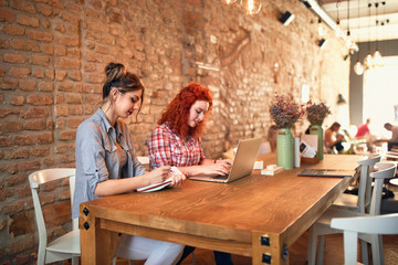 Wall Mural - two students learning together