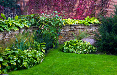 Wall Mural - Detail of a botanical garden