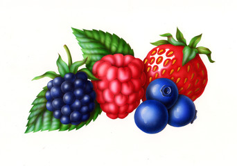 forest fruits, raspberry, blackberry, strawberry, blueberries and green leaves, illustration