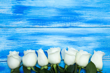 white rose. a bouquet of delicate roses on a wooden blue background. place for text, close-up. roman