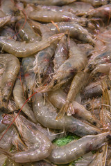 Fresh, raw shrimps and prawns on ice for food background. Close up photo with selective focus 3